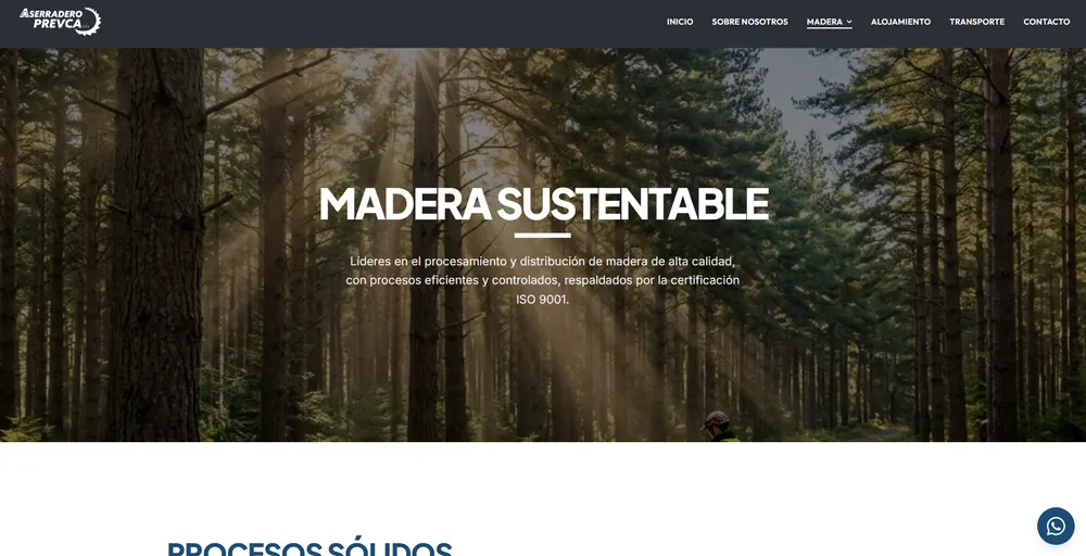Grupo Prevca: página web, vista 2