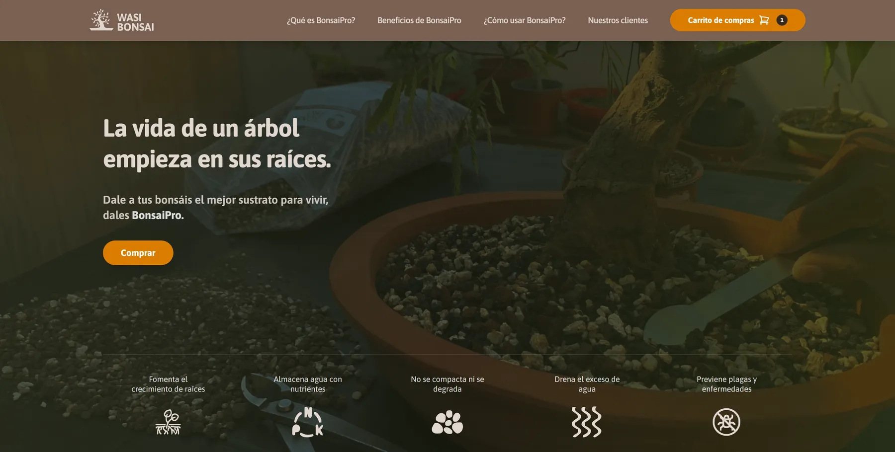 Captura de la página web de Wasi Bonsai