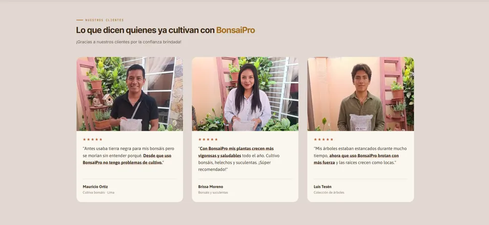 Wasi Bonsai: página web, vista 2